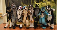 NeonFurStudio Gruppenfoto