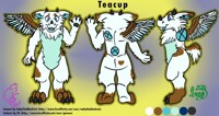 Collab Reference Sheet with GeeSee: Teacup the Angel Dragon