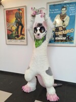 EF21 - Success! 
