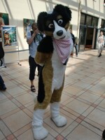 Noodle dog