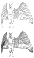 Auric, new reference (by Ashe Skyler)