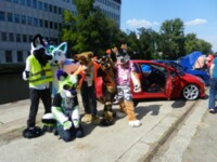 Motorfurs EF 21 No.4