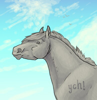 YCH horse bust