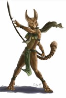 Le Femme Guerrier