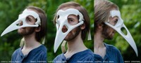 White Corvid Mask