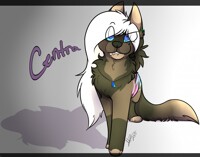 Centra Art trade