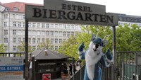 Kai the Dirdwolf: At the Biergarten!