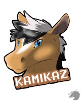 Kamikaz 