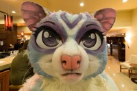 Boop!