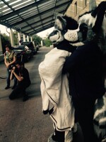 Sachswolf on EF21 6