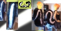 Skunk n Cat