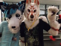 Mates roaming EF21_1