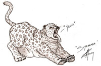 5 Sketch 3 : Siyahamba