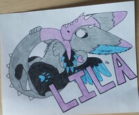 Lila tail bite badge