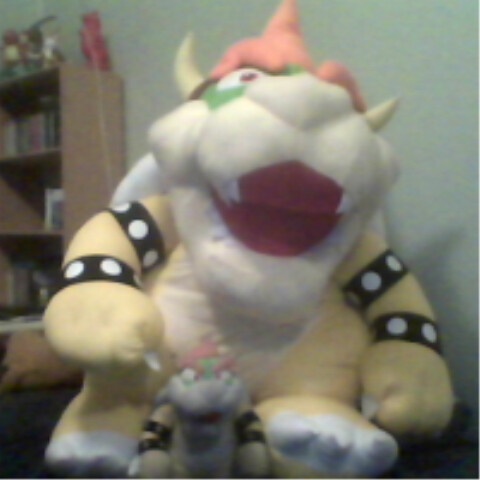 Bowser giant best sale plush