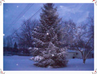 Winters Wonders