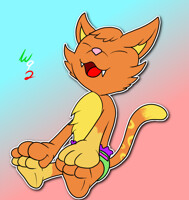 Dashing Kitten