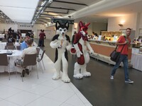 Eurofurence 21 / Con Day 2 / Photo 254