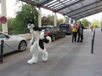Eurofurence 21 / Con Day 2 / Photo 258