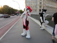 Eurofurence 21 / Con Day 2 / Photo 263