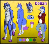 Colian Ref sheet :commish: