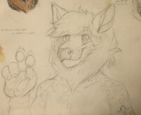 Precious deerlion bab