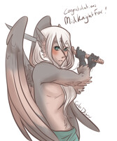 MidKnightFox prize