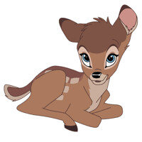 Baby Dondi