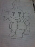 mudkip approves this