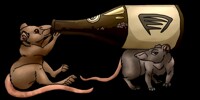 Guinness Rats