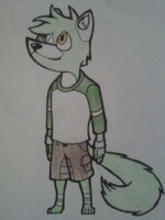 Conner the Pine Marten