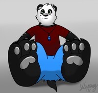There was no enough panda paw art :3