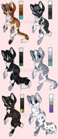 Kitten Adopts 3 (6/6) OPEN