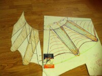 Fanning tail feather design