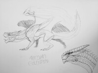 Antivan Goldspine - Sketch
