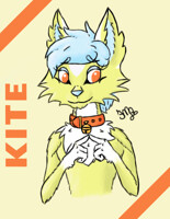 Shy Kite (for the YCH Winner)