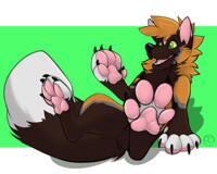 Cross Peets [c]