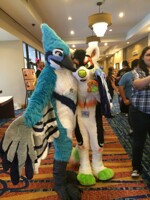 BJ and a Fiesta Dog!