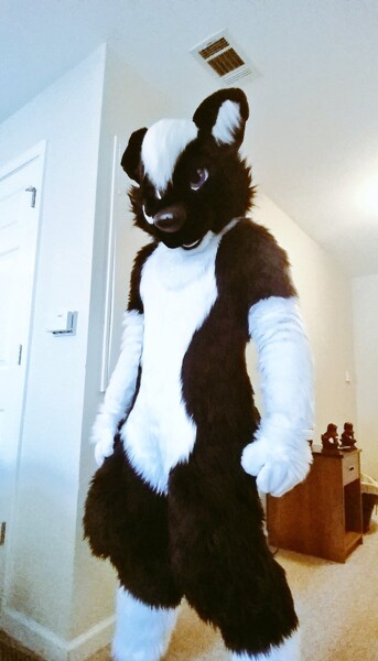If you're going to FWA this week come give a skunk dog some hugs
