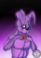 just Bonnie
