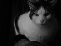 Why Are You Looking At Me?