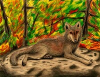 B-day gift: wolf