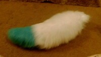 OMG a Fluffy tail for my fursuit 