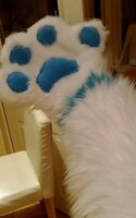 they are fluffed up