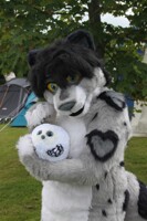 A Snep and her Owl