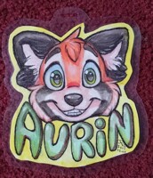 Aurin badge