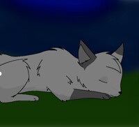 Sleep