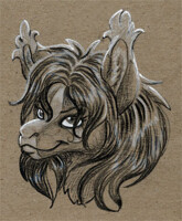 cardboard headshots: antimatter