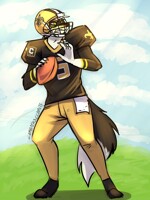 Franchise Quarterback