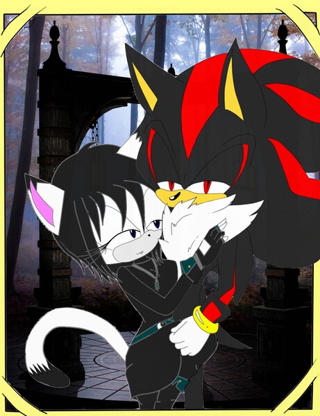 ReeMiiKat 🌱 on X: My o.c and sonic characters shadow and silver   / X